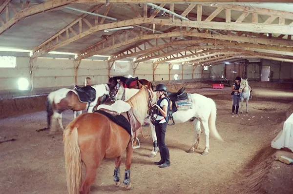 Des cours d’équitation à Saint Geniès de Malgoirès 2